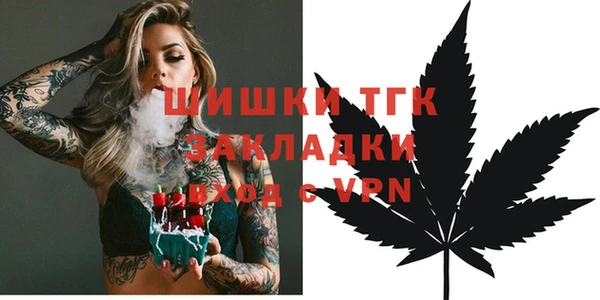 меф Гатчина