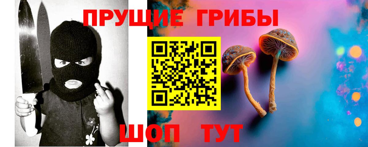 Псилоцибиновые грибы мухоморы  Галлюциногенные грибы Magic Shrooms  Вход с VPN  Россия 
