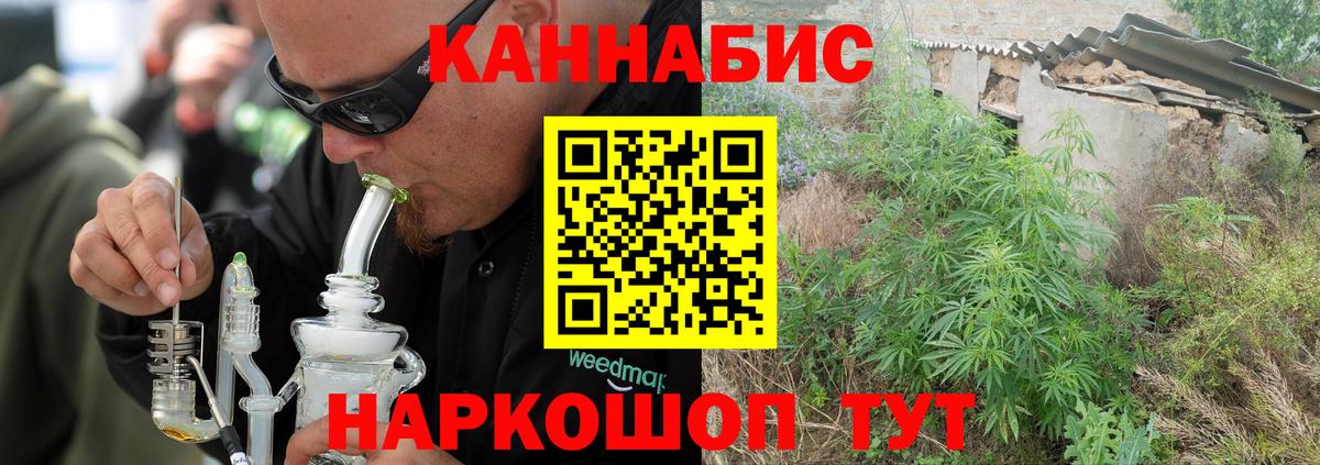 Канабис план  Бошки марихуана конопля  Россия  Марихуана план 